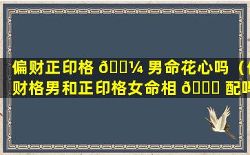 偏财正印格 🐼 男命花心吗（偏财格男和正印格女命相 🐈 配吗）
